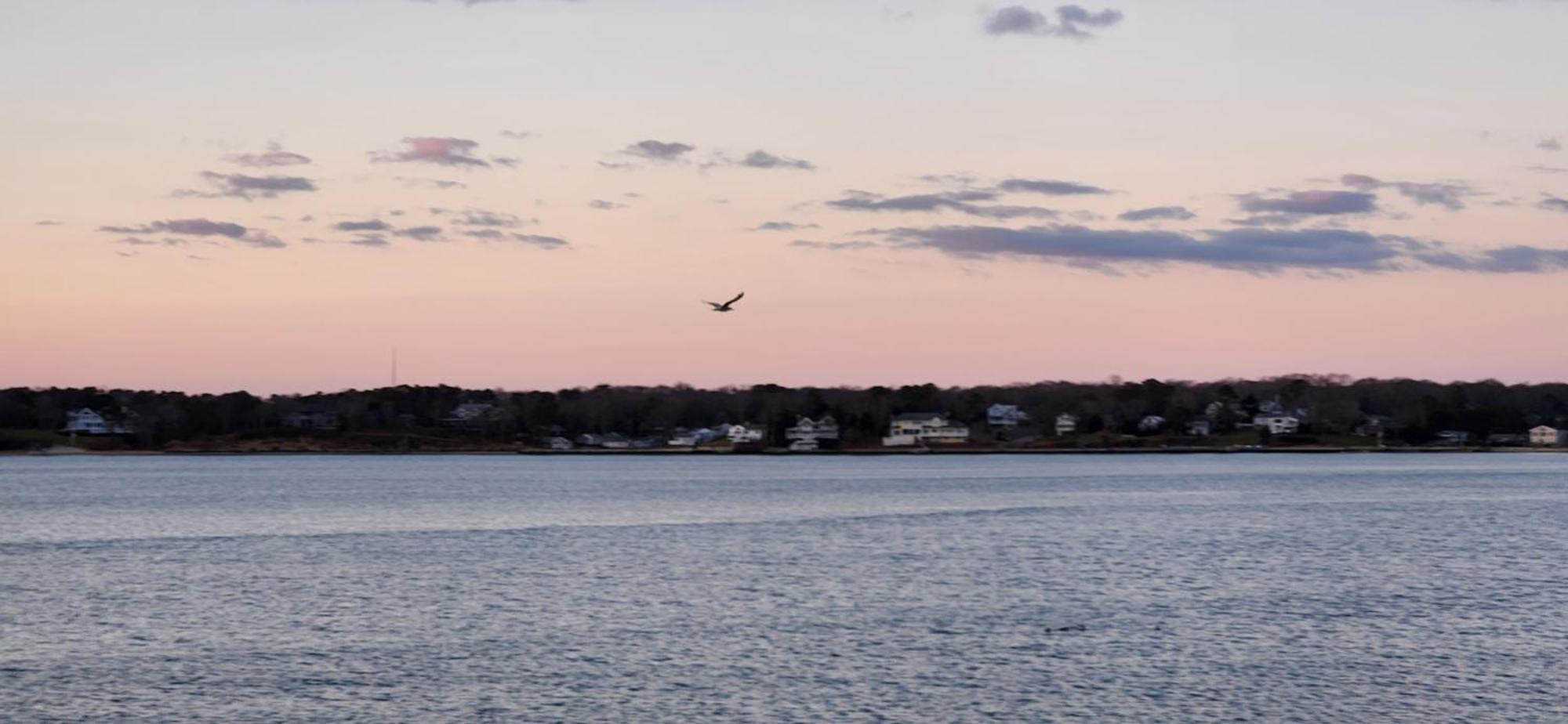 Ocean View Terrace Motel Hampton Bays Luaran gambar